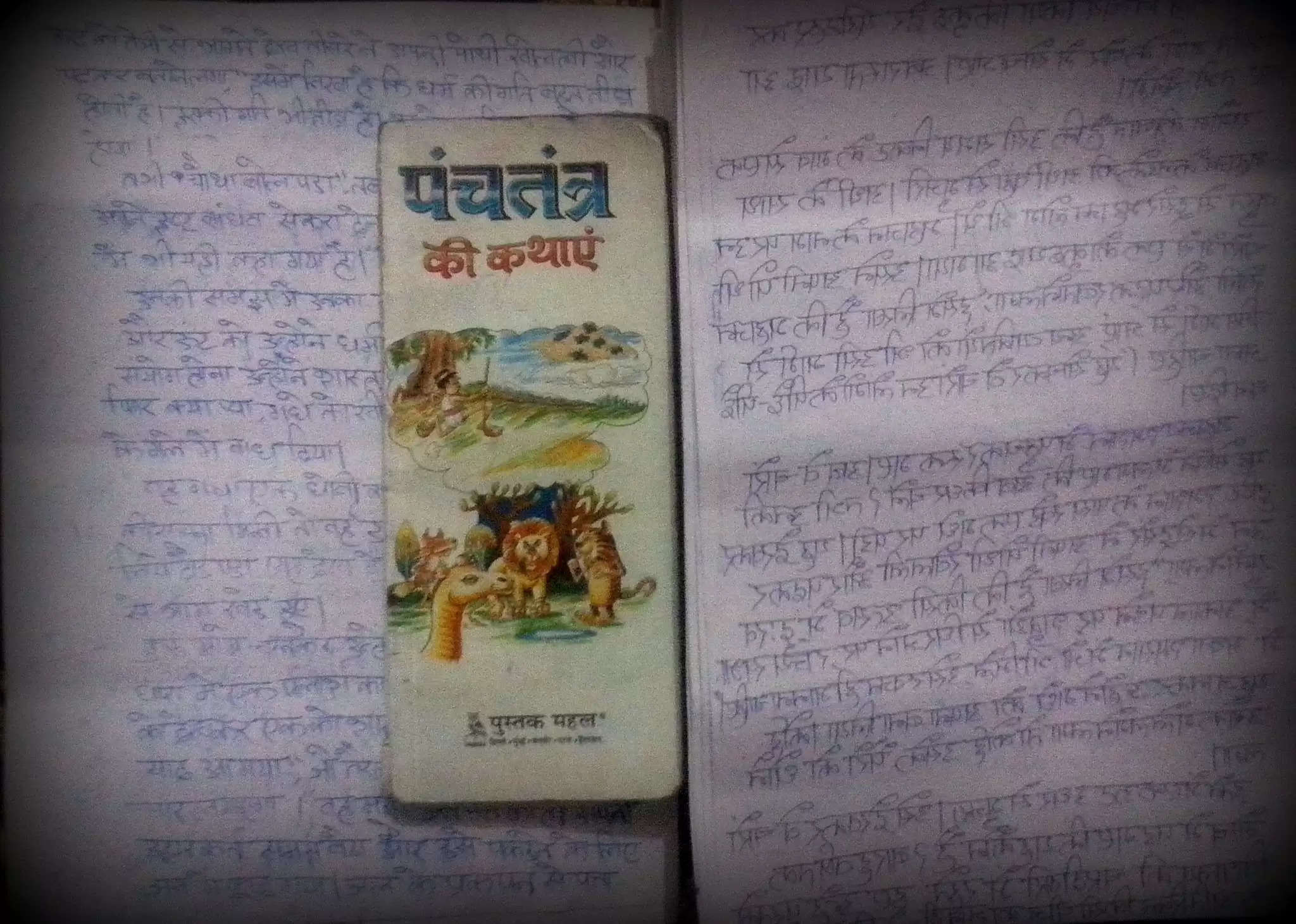 Who is Piyush Goel the Mirror Image Man, reverse letters Bhagwat Gita, Reverse Script, Piyush Vaani, Panchatantra, Madhushala
