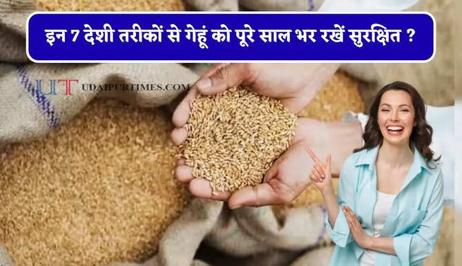 बार-बार गेहूं में पड़&nbsp;रहे है घुन ! इन 7 देशी तरीकों को अपनाकर पूरे साल भर रखें सुरक्षित ?