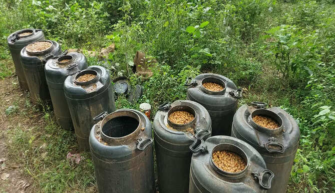 special preventive operations excise department rajasthan udaipur illegal liquor