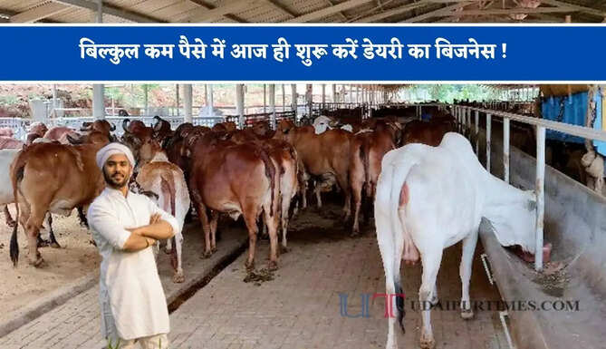 बिल्कुल कम पैसे में आज ही शुरू करें डेयरी का बिजनेस ! साहीवाल गाय बना देगी आपको मालामाल, जाने कीमत और खासियत