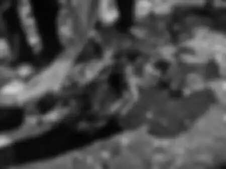 &ldquo;Police investigation after cow remains found in Udaipur&rsquo;s Sunderwas causing public protest and roadblock&rdquo;