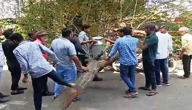 tree falls on milkman