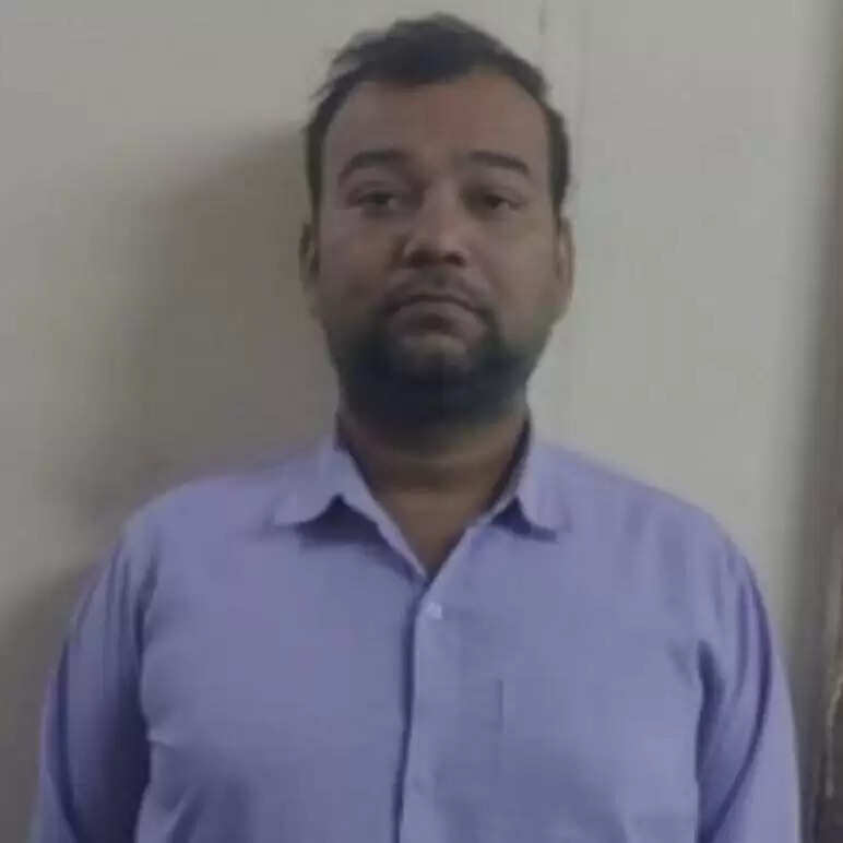 Udaipur Police Arrest Man Selling Fake Govt Officer Seals Online | Savina Police Action