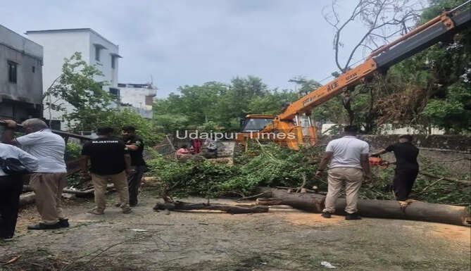 Municipal workers remove fallen trees from Madar Canal in Udaipur using cranes and JCB machines after heavy rainfall and strong winds.