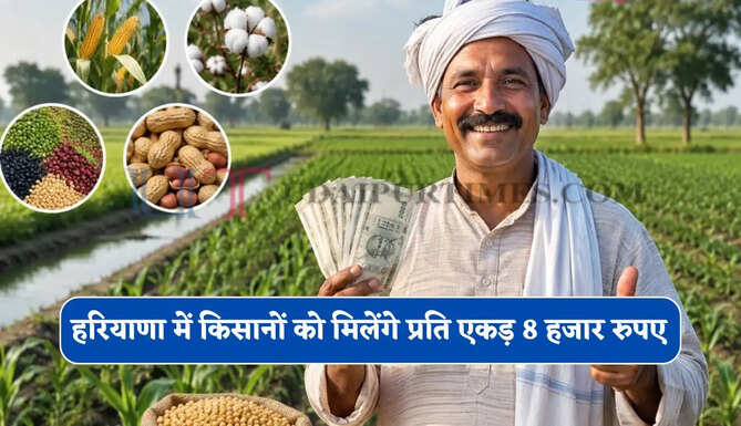 हरियाणा में किसानों को मिलेंगे प्रति एकड़ 8 हजार रुपए, ऐसे उठा सकेंगे लाभ ?