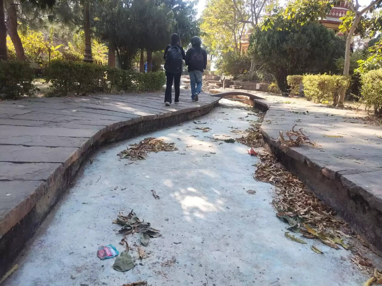 Manikya lal verma park