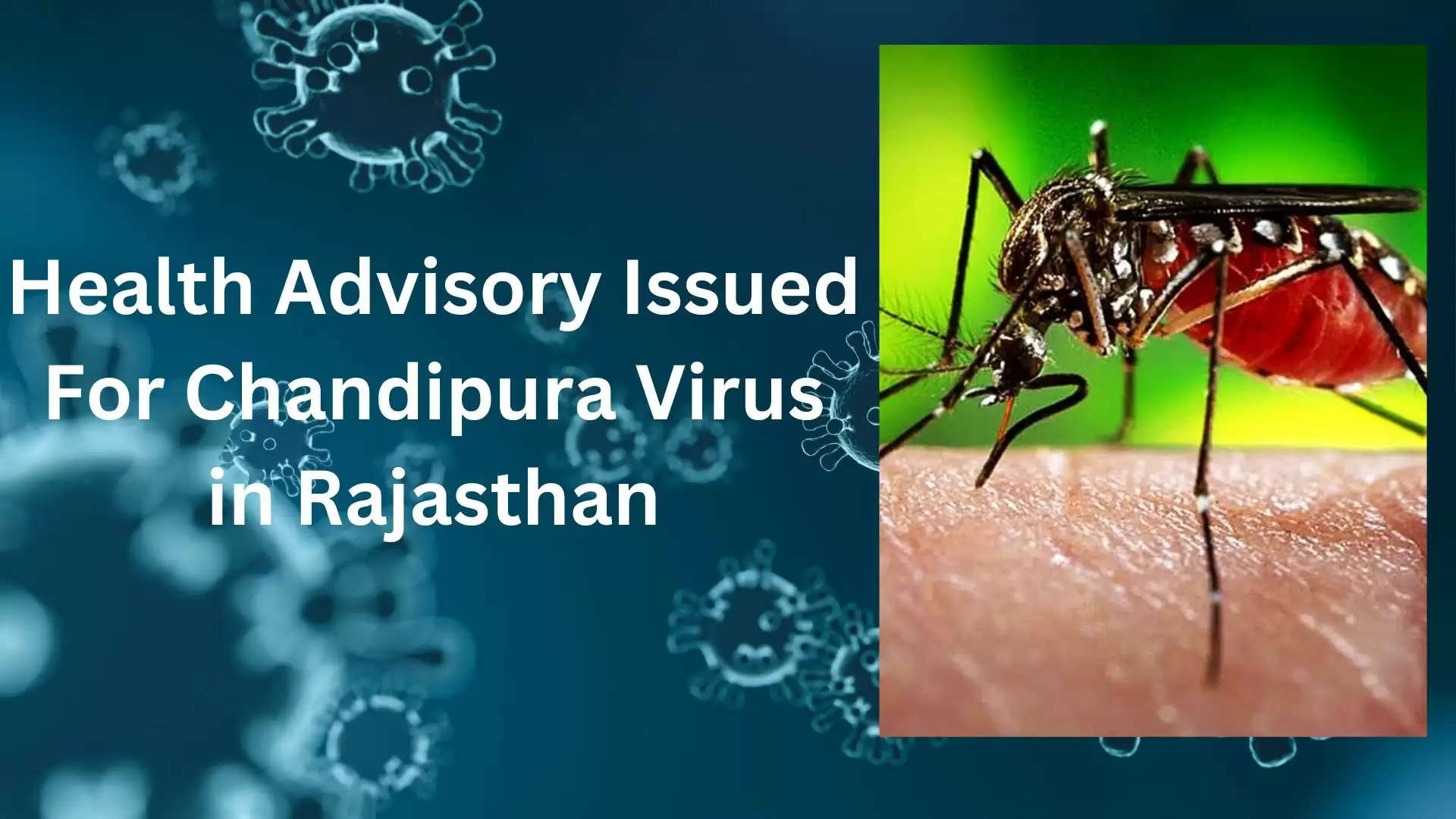 Chandipura Virus 