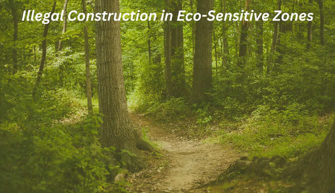 Illegal Construction Eco Sensitive Zones