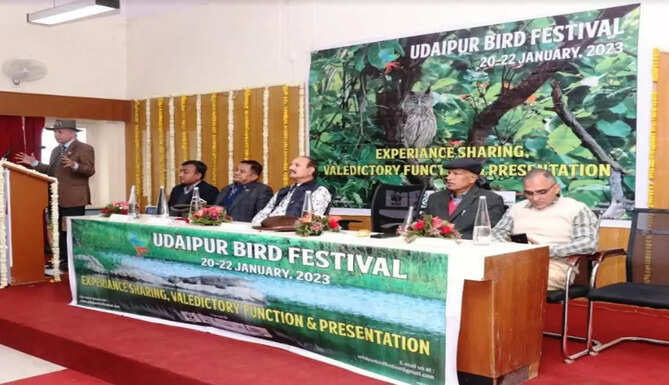 bird festival