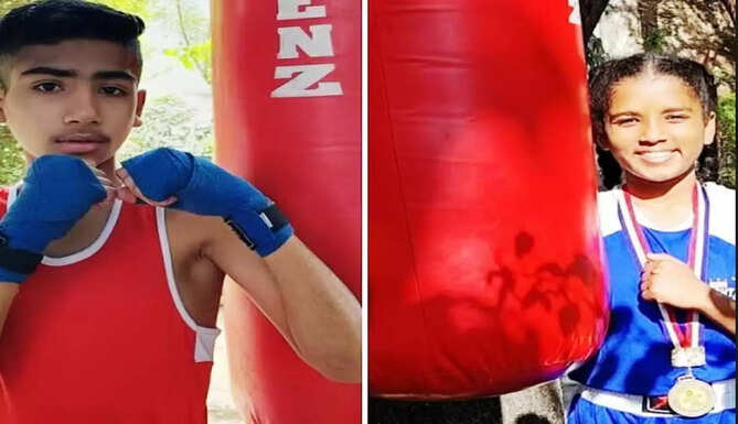 boxer