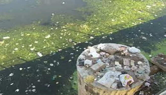 sewage 