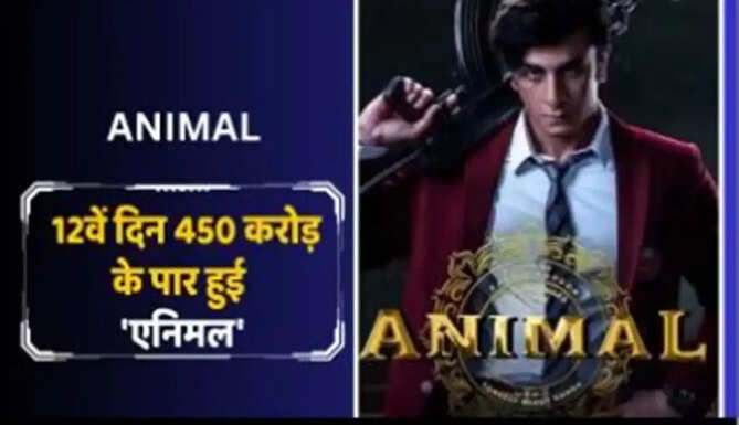animal fim box office collection