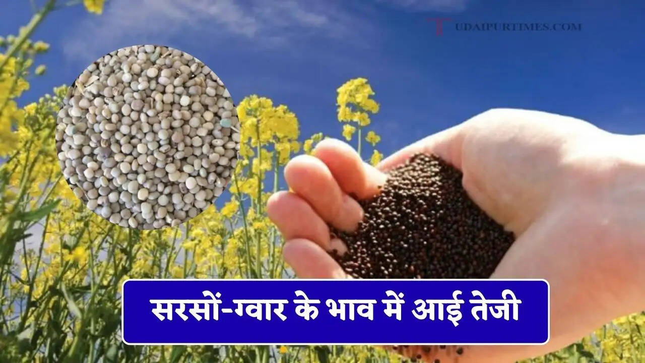 सरसों-ग्वार के भाव में आई तेजी, जाने सभी मंडियों के नए रेट