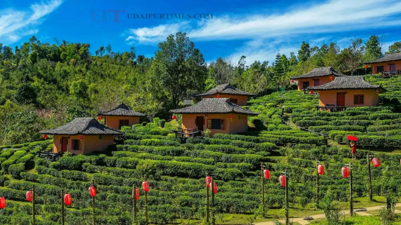 हरियाणा में गर्मियों में घूमने के लिए ये 4 हिल स्टेशन रहेंगे सबसे बेस्ट?