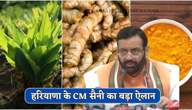 हरियाणा के CM सैनी का बड़ा ऐलान, किसान यहां कर सकेंगे अदरक, हल्दी समेत कई मसालों की खेती