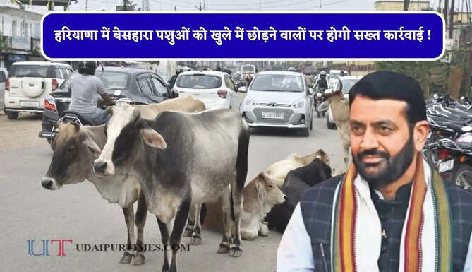 हरियाणा में बेसहारा पशुओं को खुले में छोड़ने वालों पर होगी सख्त कार्रवाई ! 11 हजार, 21 हजार जुर्माना और फिर होगी FIR