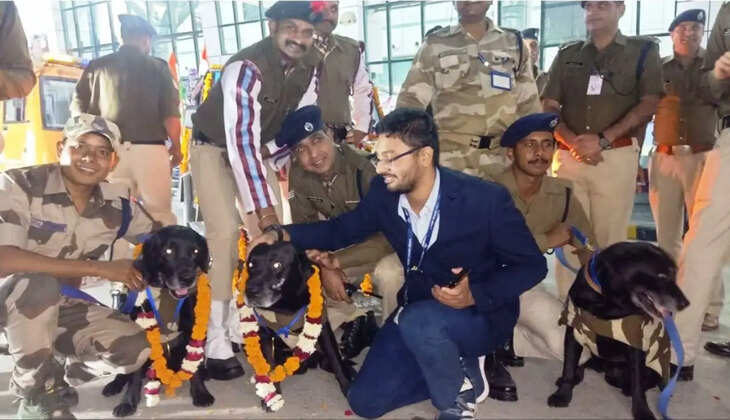 dogs squad retirenment