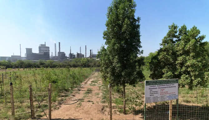 Hindustan Zinc Plantation
