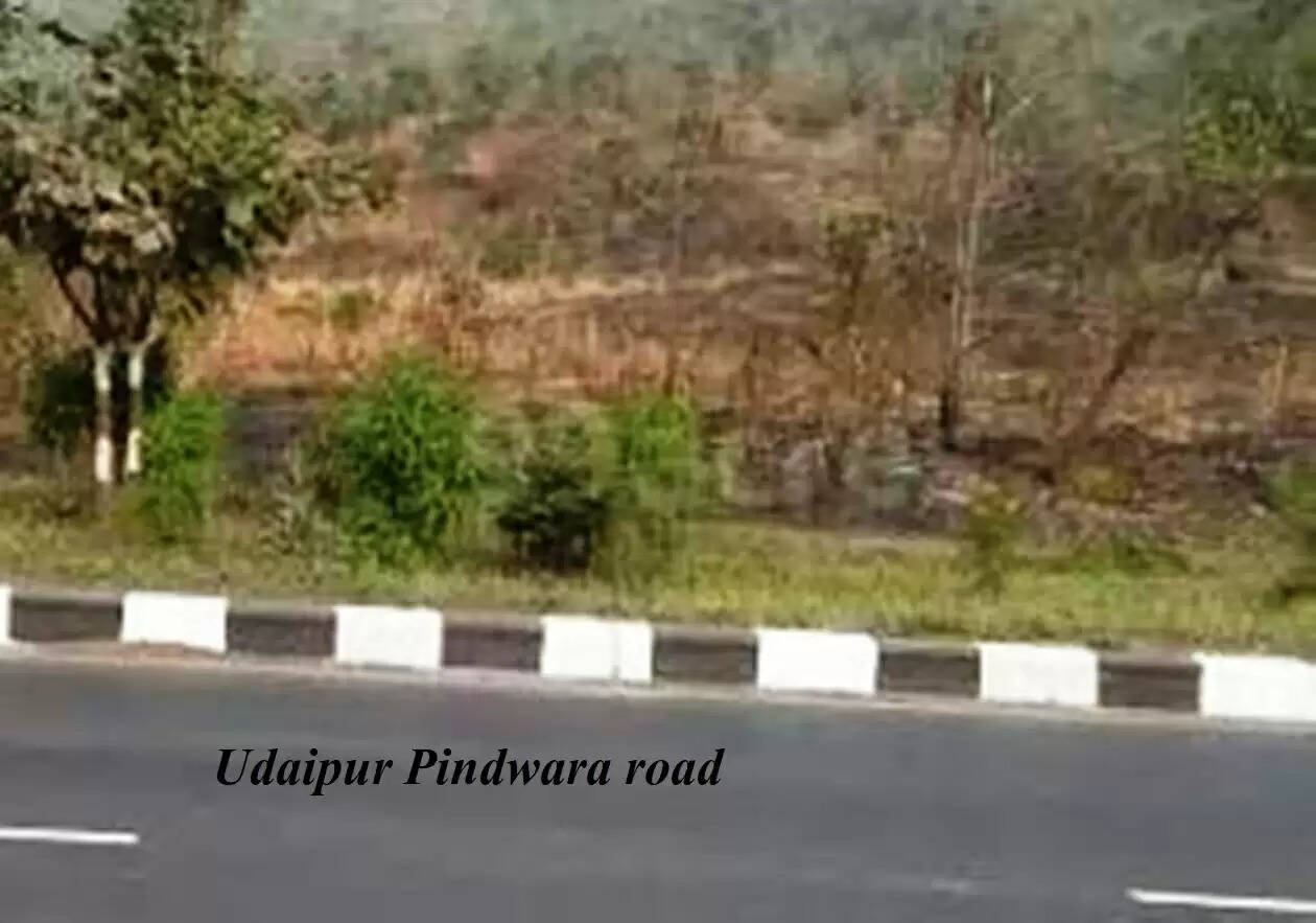 Udaipur Pindwara road