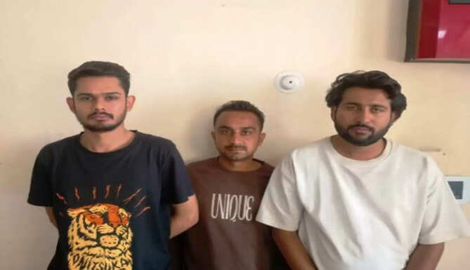 arrest in cyber fraud case