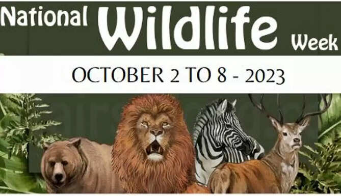 WILDLIFE WEEK