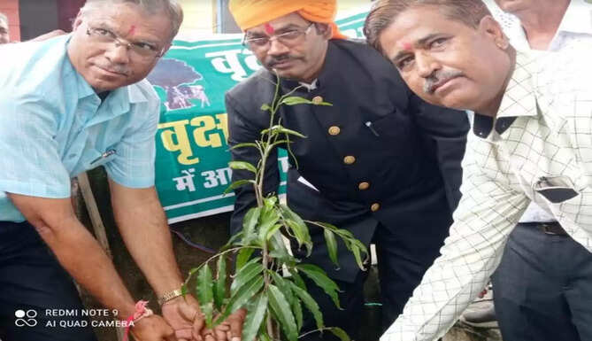 plantation