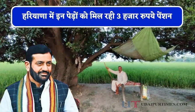 हरियाणा में इन पेड़ों को मिल रही 3 हजार रुपये पेंशन, हर गांव में &lsquo;पंचवटी&rsquo; अभियान शुरू&nbsp;