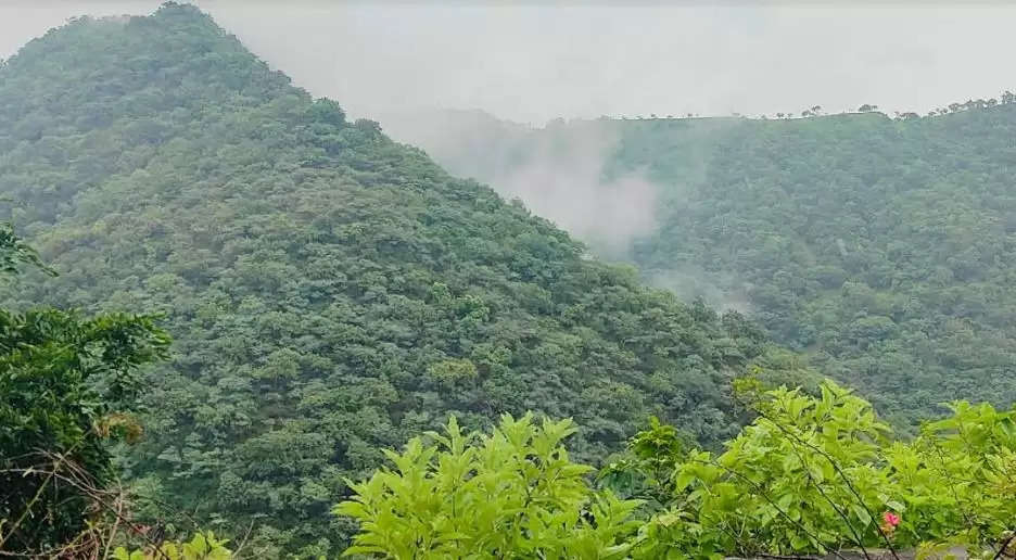 flower valley chirwa udaipur