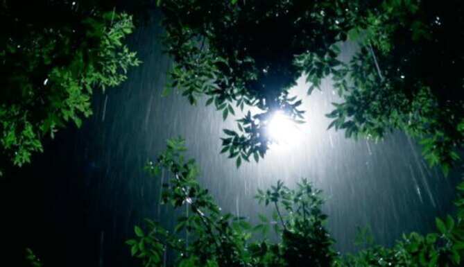 rain