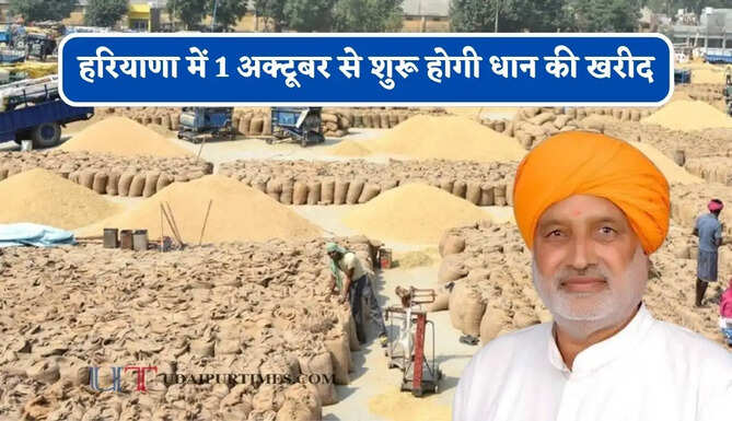 हरियाणा में 1 अक्टूबर से शुरू होगी धान की खरीद, कृषि मंत्री ने दिए ये निर्देश&nbsp;