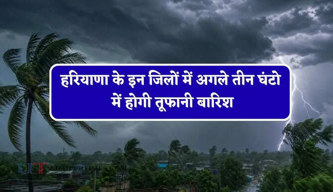 हरियाणा के इन जिलों में&nbsp;अगले तीन घंटो में होगी तूफानी बारिश, विभाग ने जारी किया अलर्ट&nbsp;