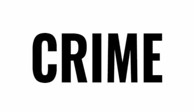 Man injures female partner fatally death on the spot Crime in Udaipur