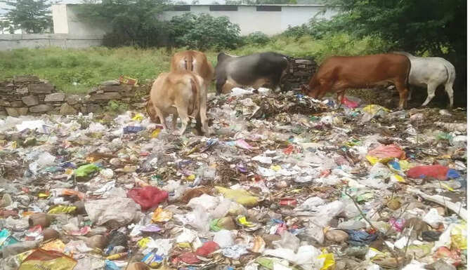 Bedla Panchayat