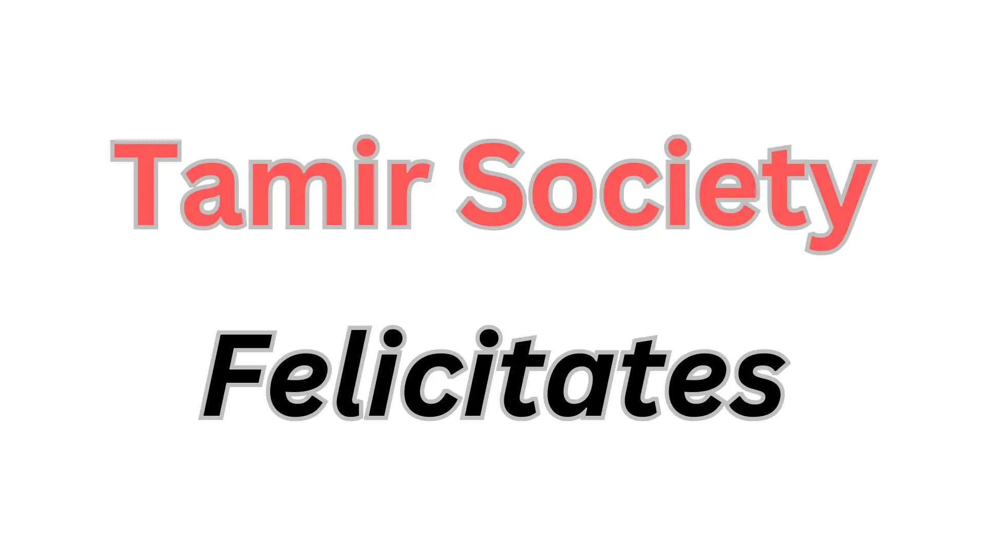 Tamir Society