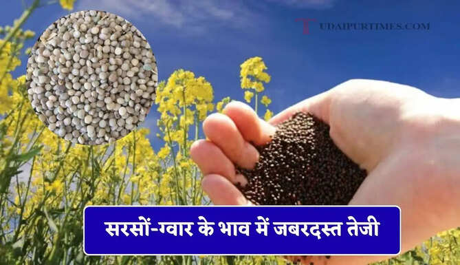 सरसों-ग्वार के भाव में जबरदस्त तेजी, देखें सभी मंडियों के नए दाम&nbsp;