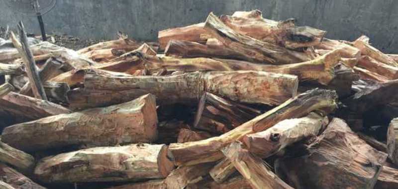8 Tonnes of Khair Wood worth Rs 6 lakh picked up by Sukher Police