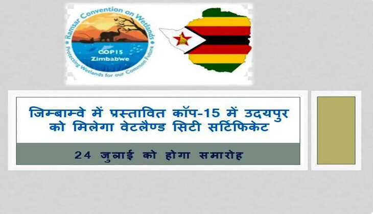 wetland city udaipur