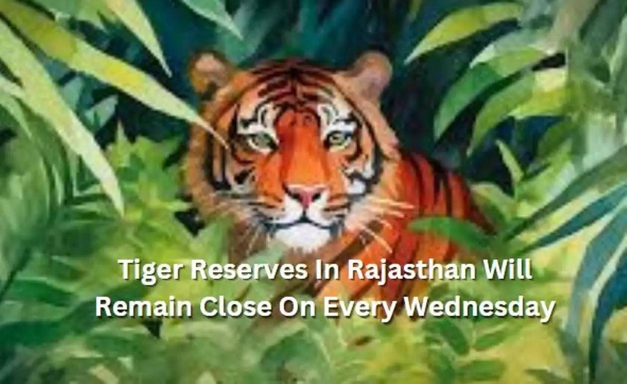 Tiger Reserves In Rajasthan