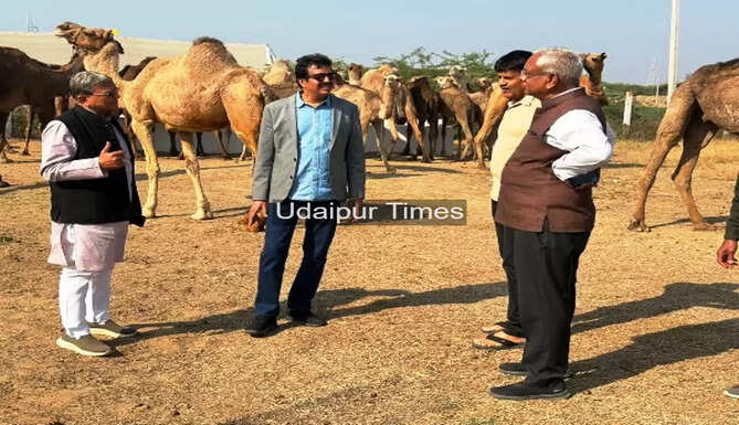 Camel 