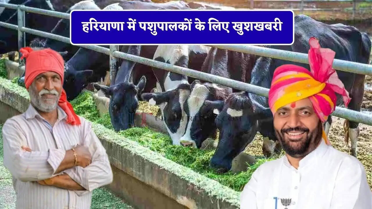 हरियाणा में पशुपालकों के लिए खुशखबरी, CM सैनी ने किए ये बड़े ऐलान &nbsp; &nbsp; &nbsp; &nbsp; &nbsp; &nbsp; &nbsp; &nbsp; &nbsp; &nbsp; &nbsp; &nbsp; &nbsp; &nbsp;&nbsp;