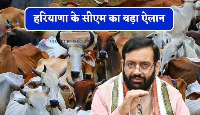हरियाणा के सीएम का बड़ा ऐलान, गौशालाओं को दी बड़ी सौगात, बजट बढ़ाकर किया 600 करोड़ रुपये&nbsp;