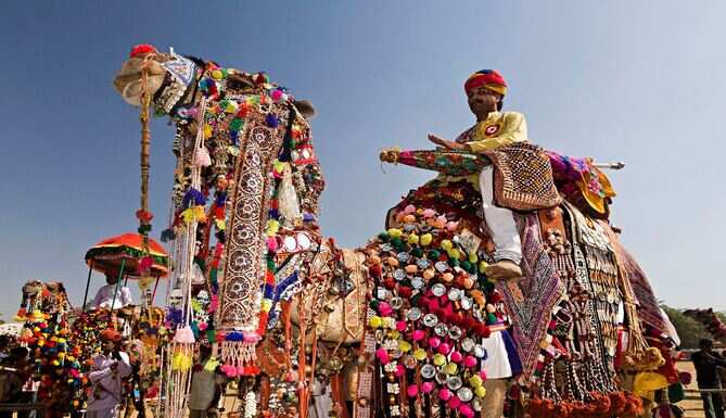 Covid affects Pushkar's animal fair