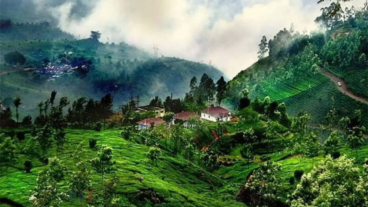 मानसून में घूमने के लिए देश की 7 सबसे खूबसूरत जगहें !