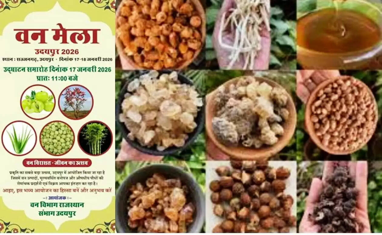 van-mela-udaipur-2026-sajjangarh