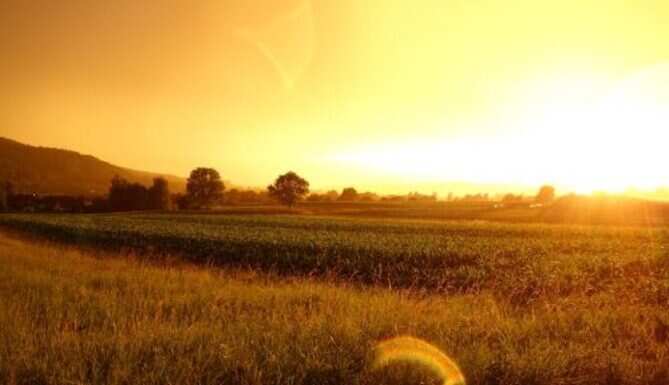 weather, summer