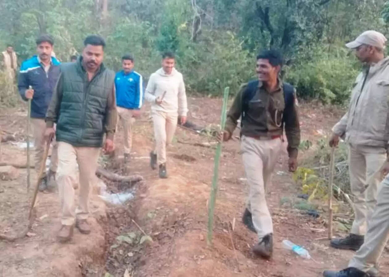 firing on forest guard