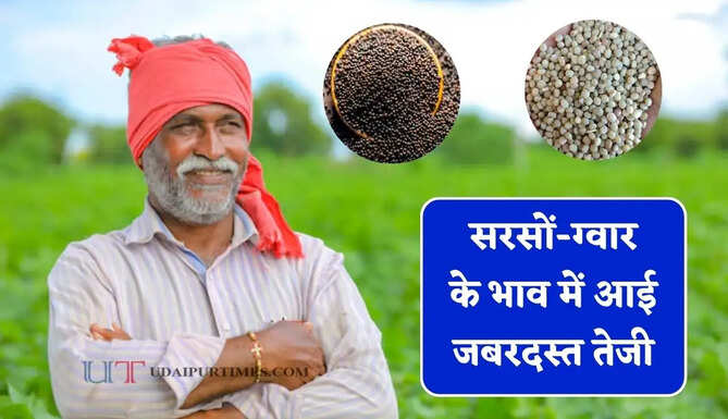 सरसों-ग्वार के भाव में आई जबरदस्त तेजी, देखें सभी मंडियों के नए दाम