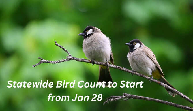 statewide bird count to start from Jan 28