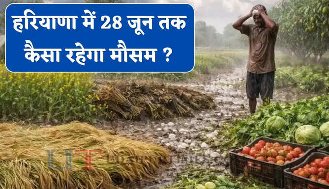 हरियाणा में नया पश्चिमी विक्षोभ सक्रिय ! देखें 28 जून तक कैसा रहेगा मौसम ?