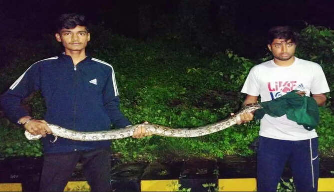 ROCK PYTHON RESCUE